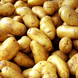Pommes de terre grenaille Ditta (Chair ferme) +/-1kg