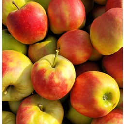Pommes - Elstar 1 kg