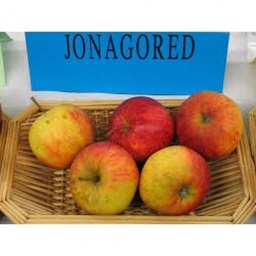 Pommes Jonagored 1 kg