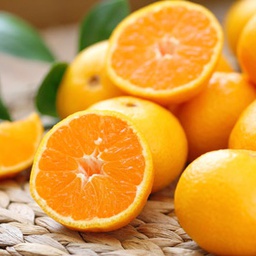 Oranges bio +/-1kg