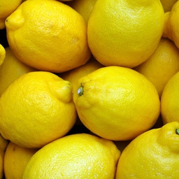 Citron (1 caisse) 10 kg