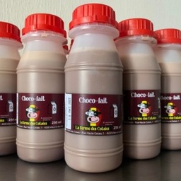 Choco-lait 250 ml