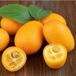 Kumquat +/-200 gr